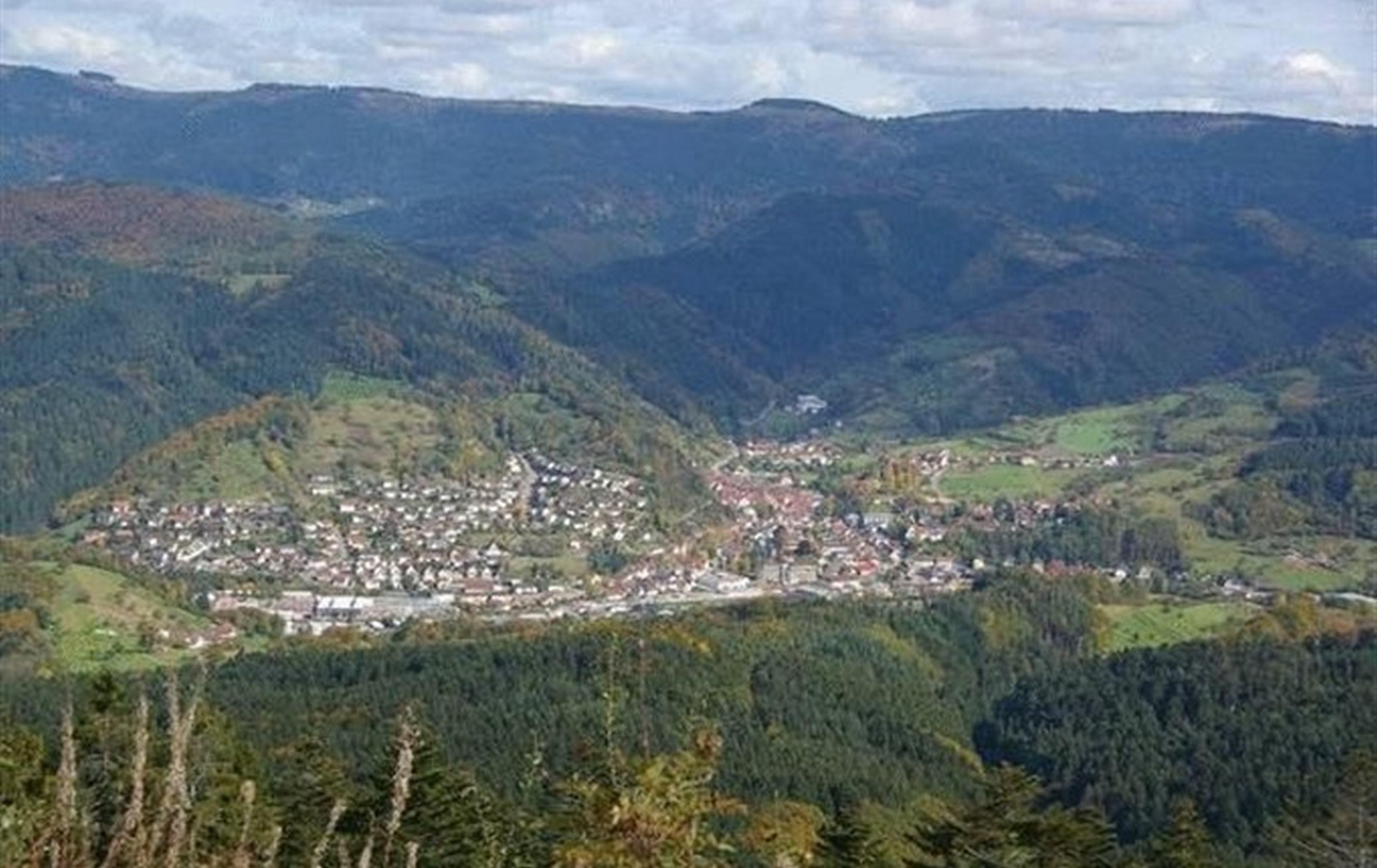 Gasthaus Finken オッペナウ エクステリア 写真