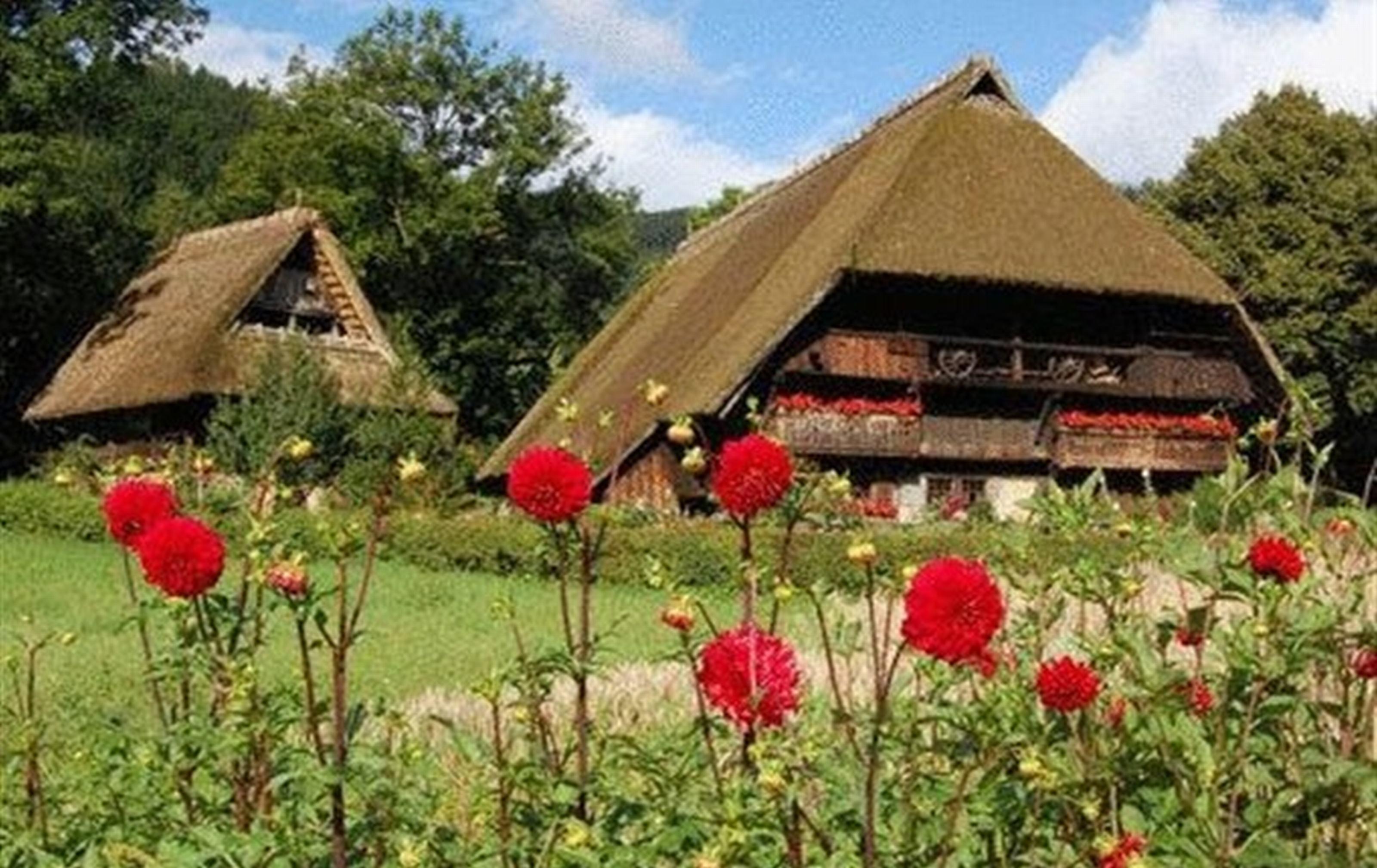Gasthaus Finken オッペナウ エクステリア 写真